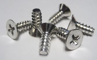 ECONOMY SCREW PACK Flat Phillips 600 Piece stainless