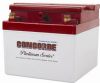 CONCORDE RG24-15M PLATINUM SERIES SEALED LEAD ACID AIRCRAFT BATTERY